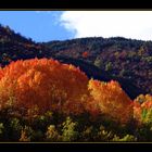 Explota el Otoño