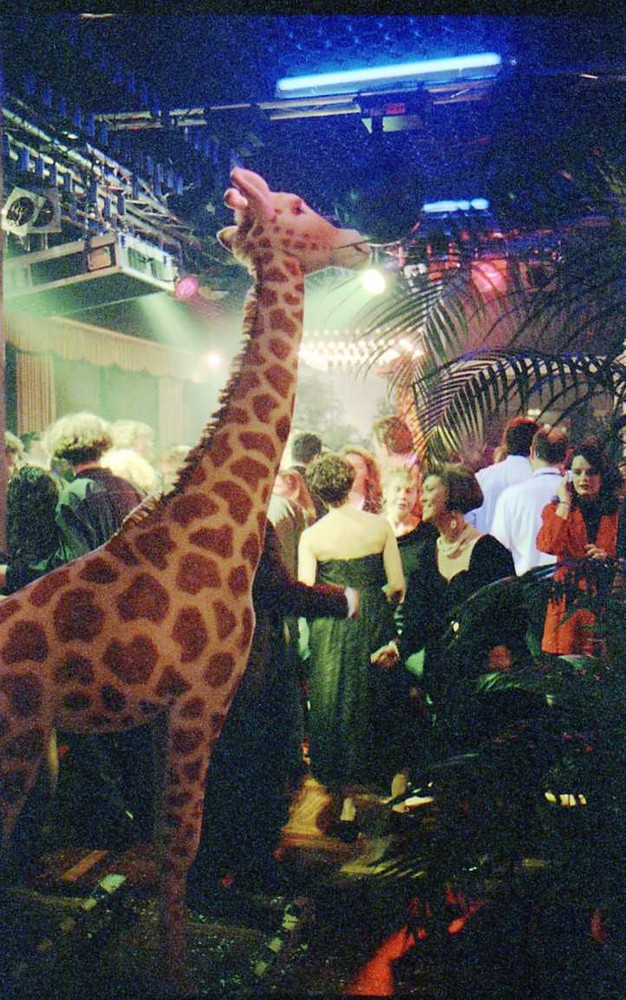 EXPO ZEBRA 1990