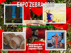 EXPO ZEBRA 2009