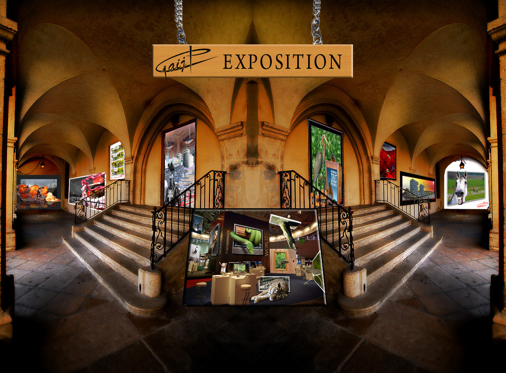 Exposition