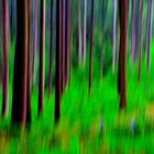 Expressionistischer Waldspaziergang