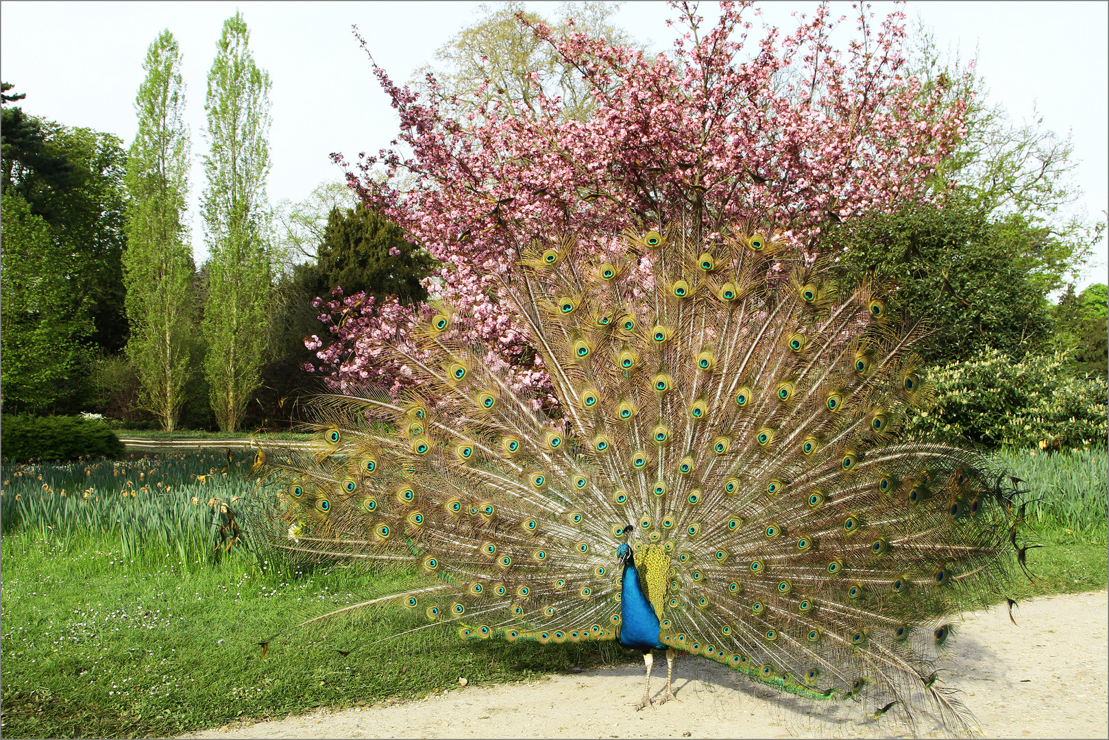 Extension du domaine de la lutte