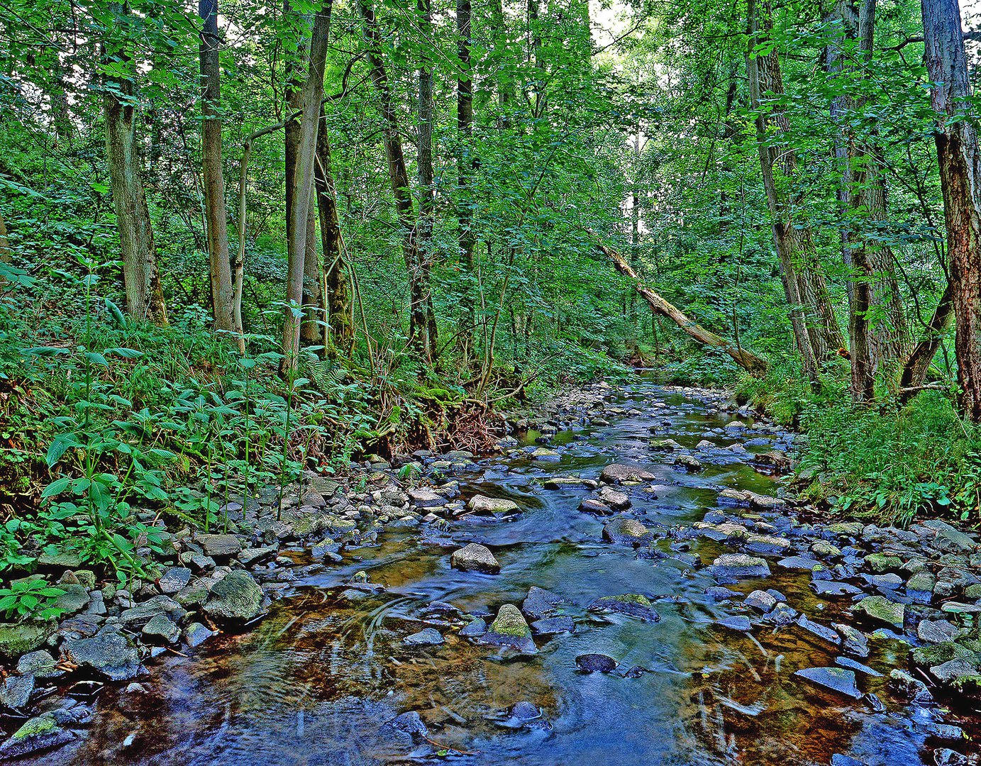 Exter im Hochsommer bei Niedrigwasser im Lipperland