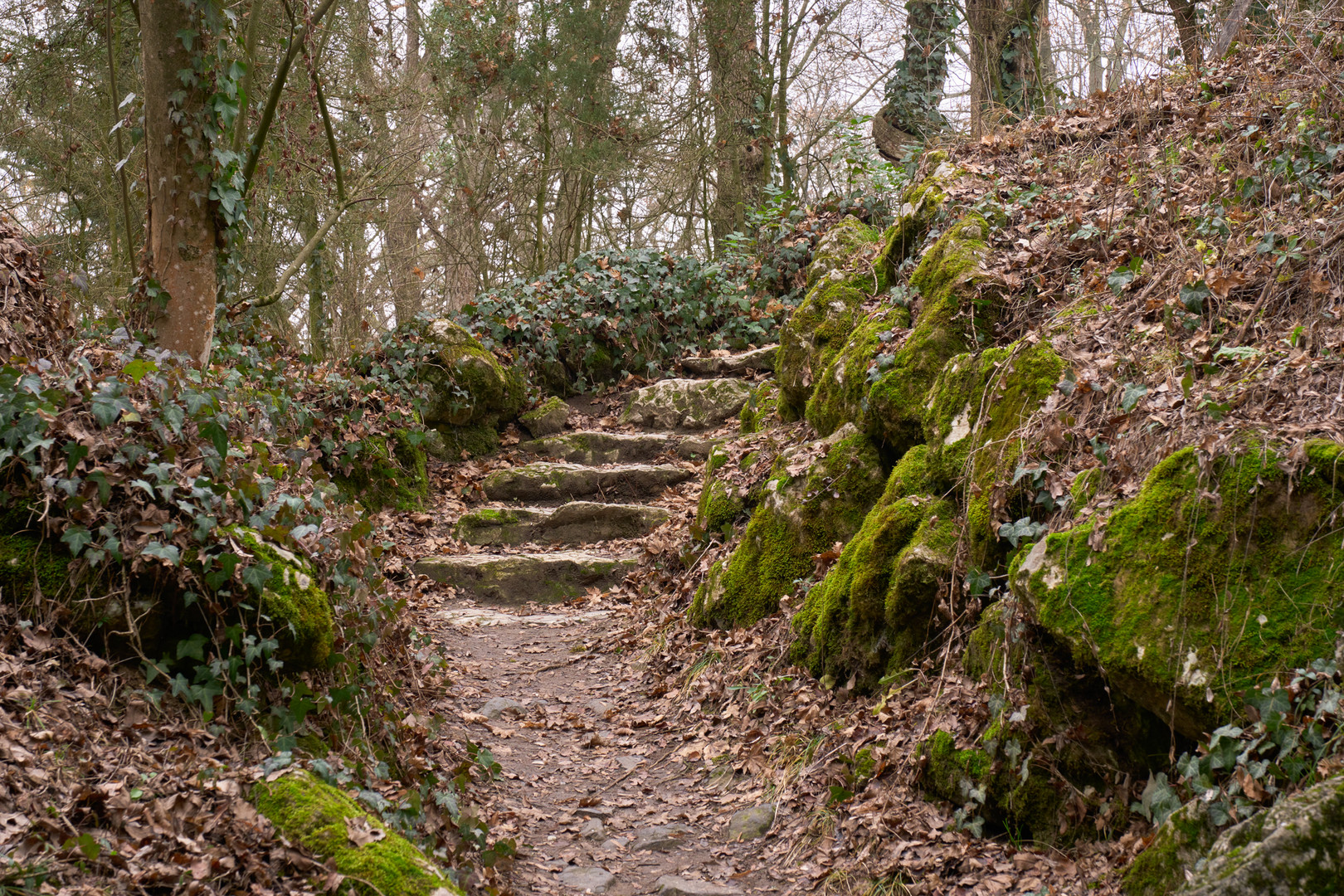 Exterior steps