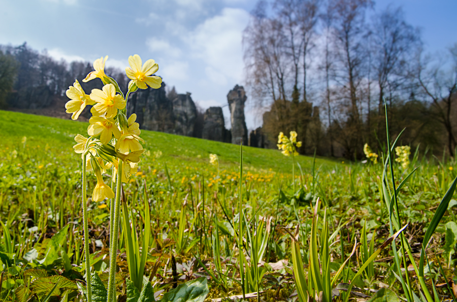 Externsteine