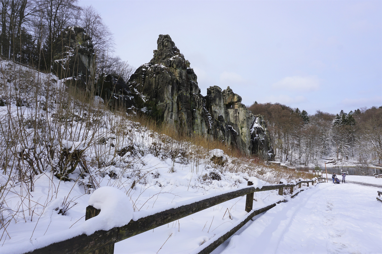 Externsteine und Teutoburger Wald im Winter