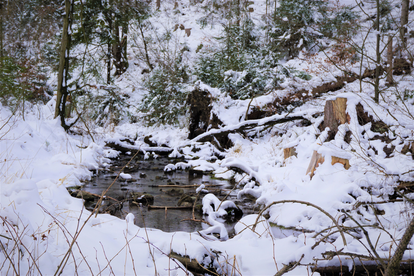 Externsteine und Teutoburger Wald im Winter