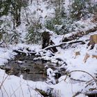 Externsteine und Teutoburger Wald im Winter