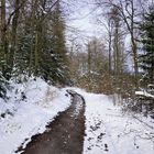 Externsteine und Teutoburger Wald im Winter