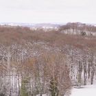 Externsteine und Teutoburger Wald im Winter