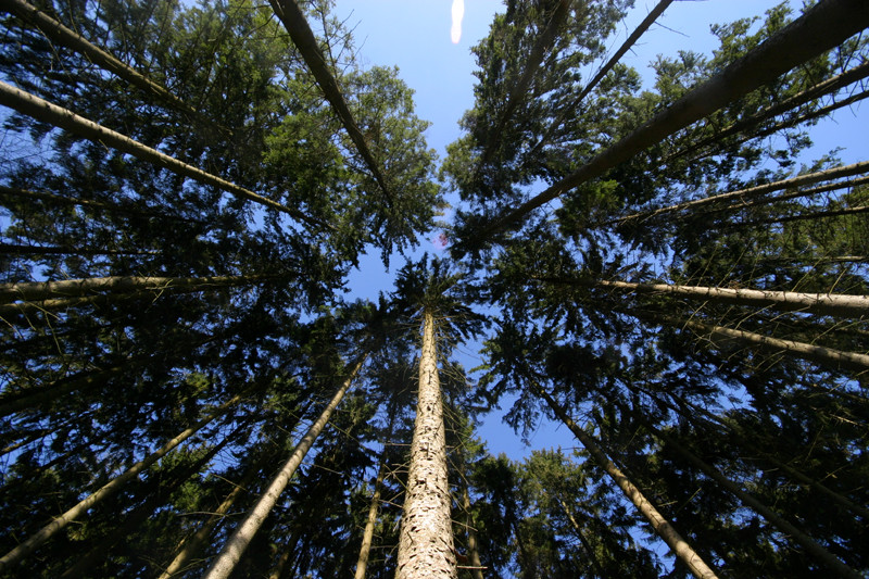 Externsteine - Wanderweg A3