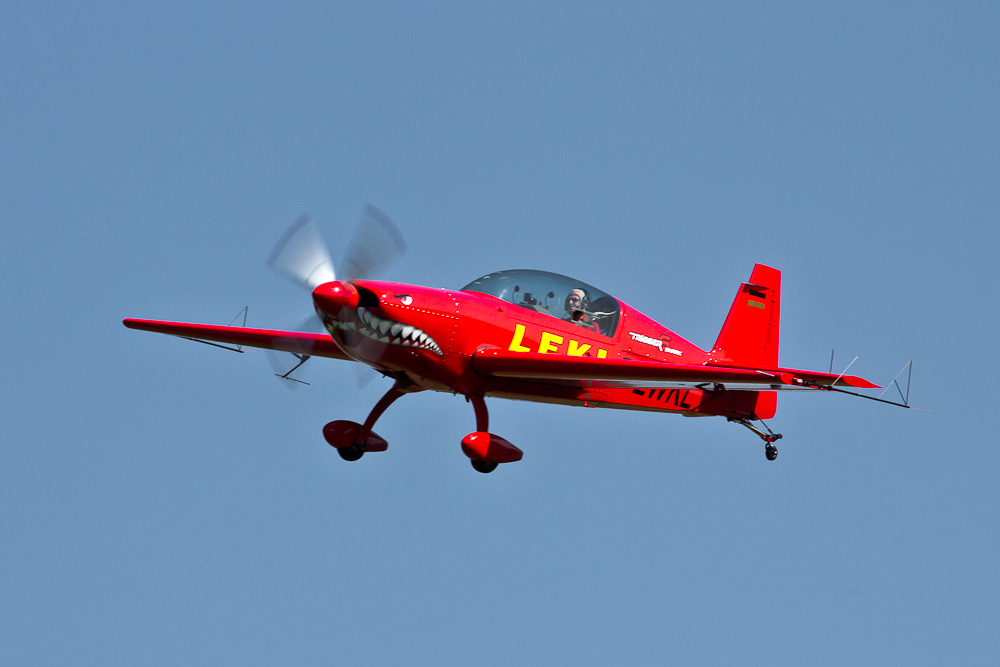 Extra 300L "LEKI"