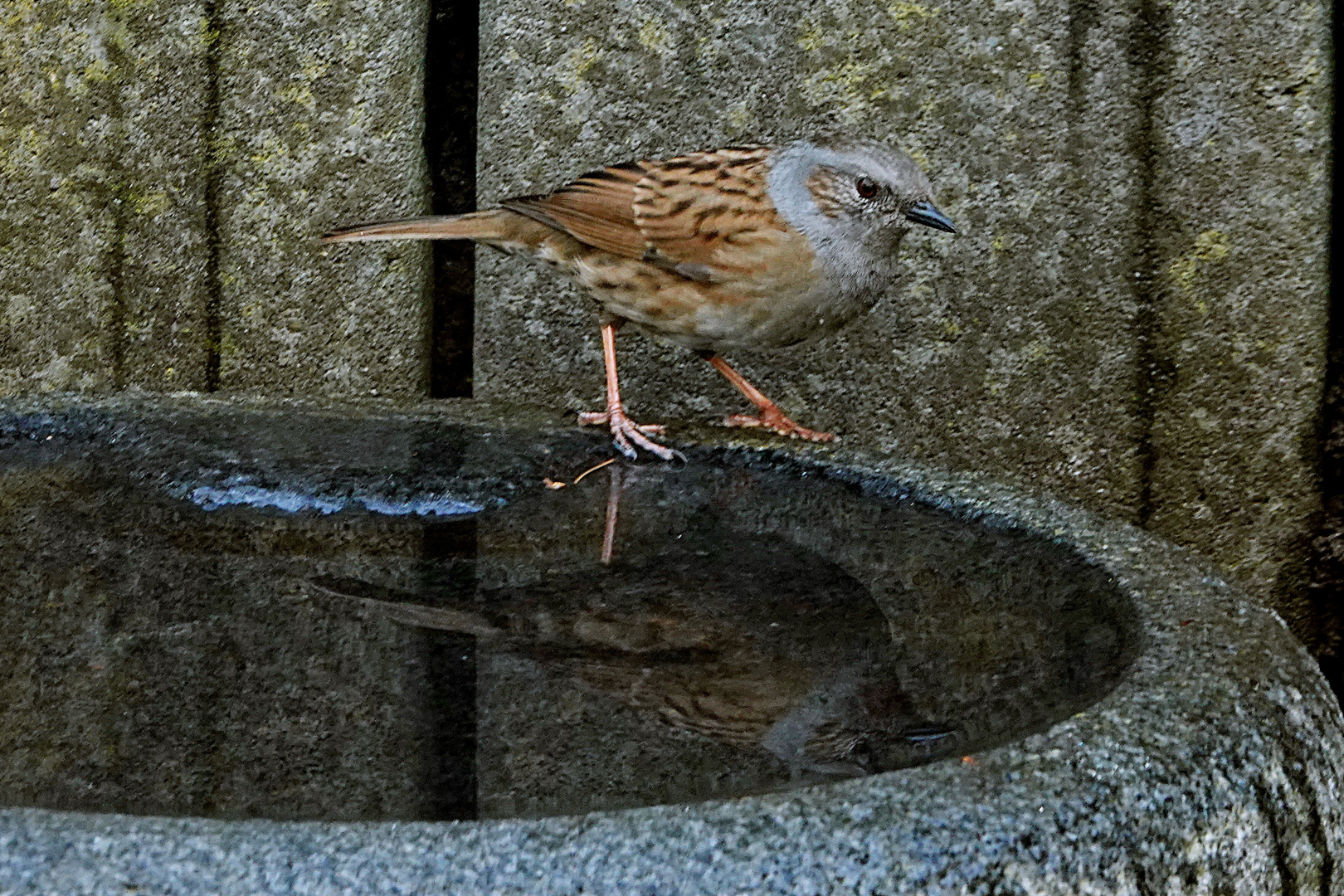 extra ein Spiegel für mich im Garten