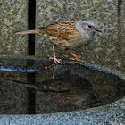 extra ein Spiegel für mich im Garten