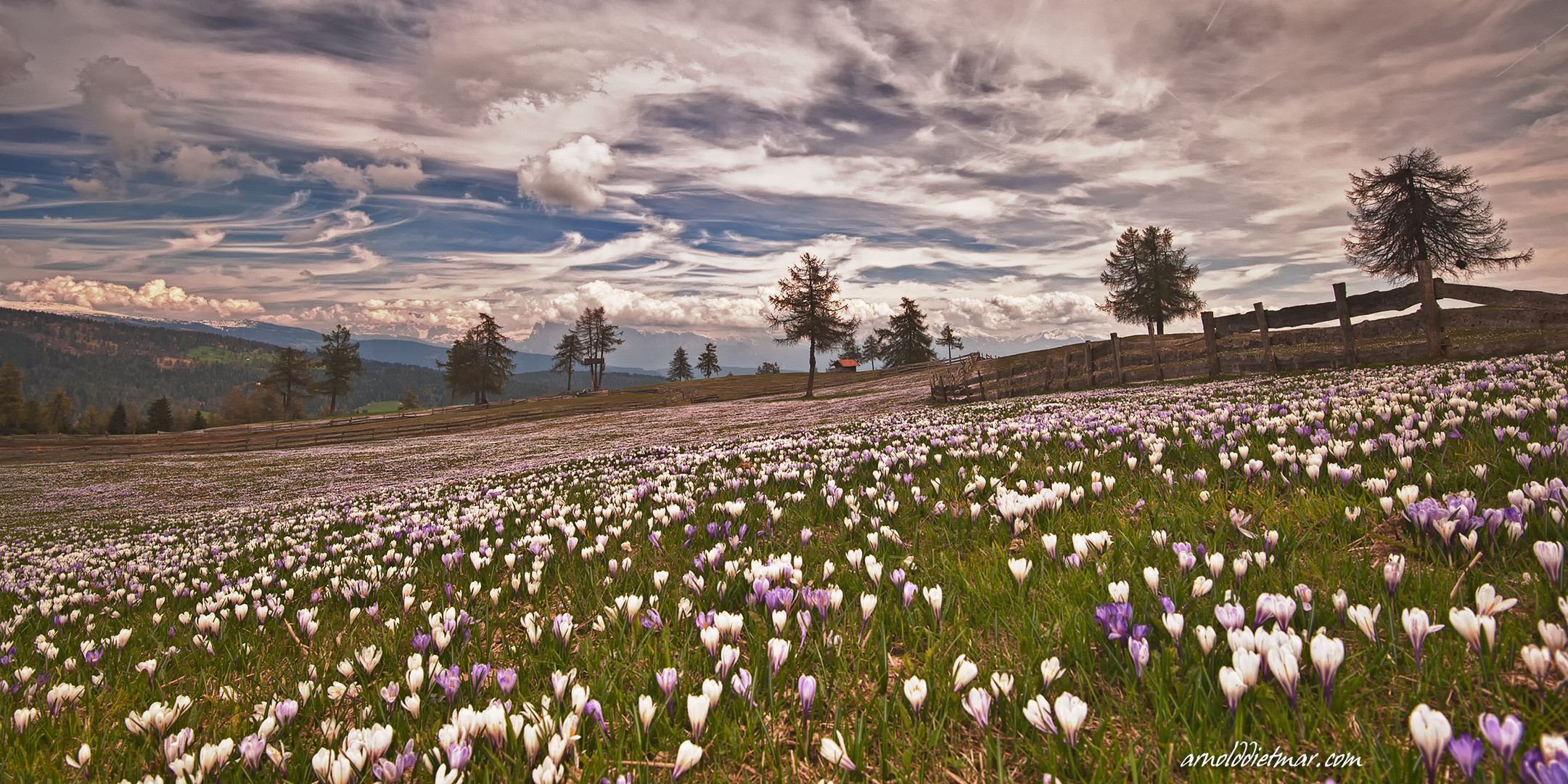 extraportion frühling