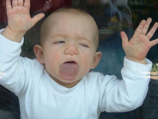 Extreeem Scheibenkuss