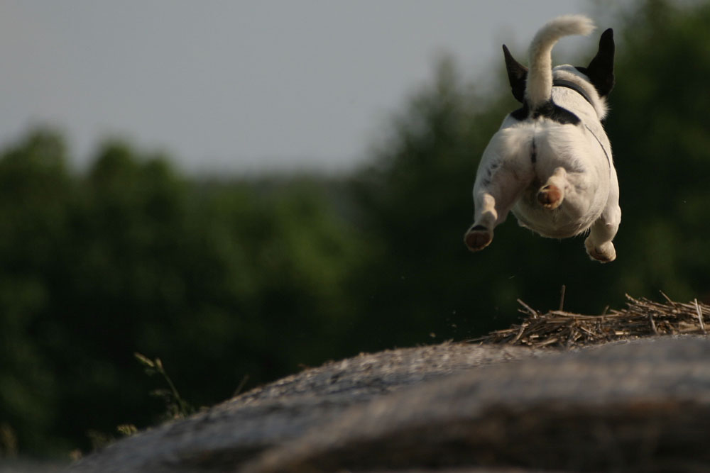 "extrem Strohballenrenning"