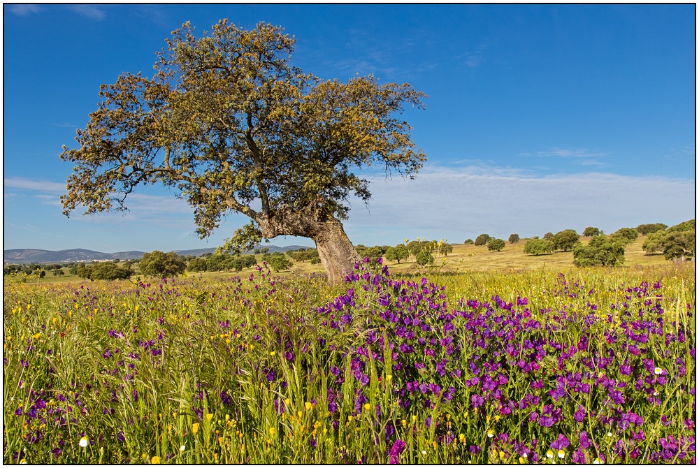 Extremadura