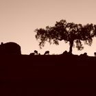 EXTREMADURA AMANECE