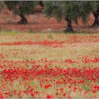 Extremadura