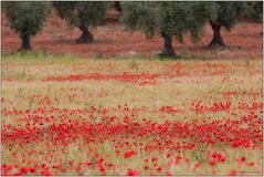 Extremadura