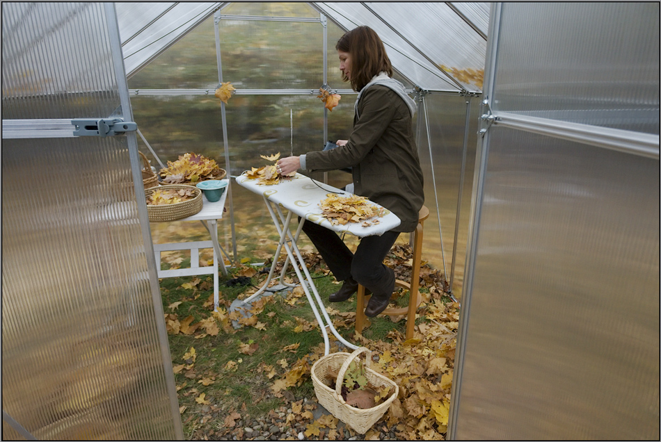 Extreme Ironing