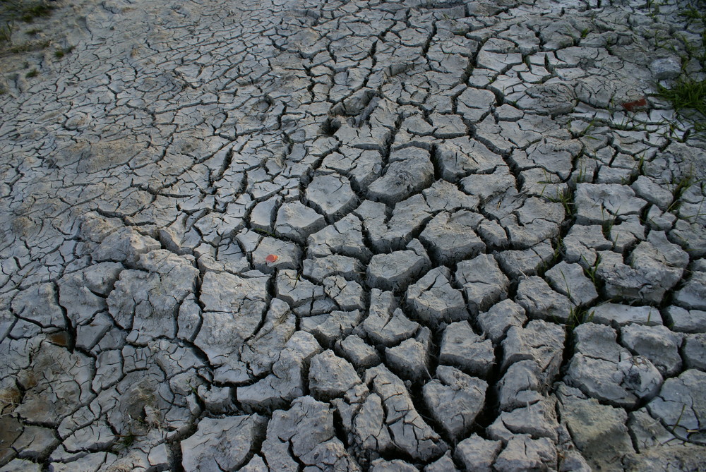 extreme Trockenheit - Rügen