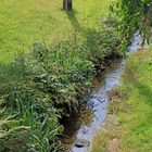 Extremes Niedrigwasser in der Ferndorf in Hilchenbach-Helberhausen 2