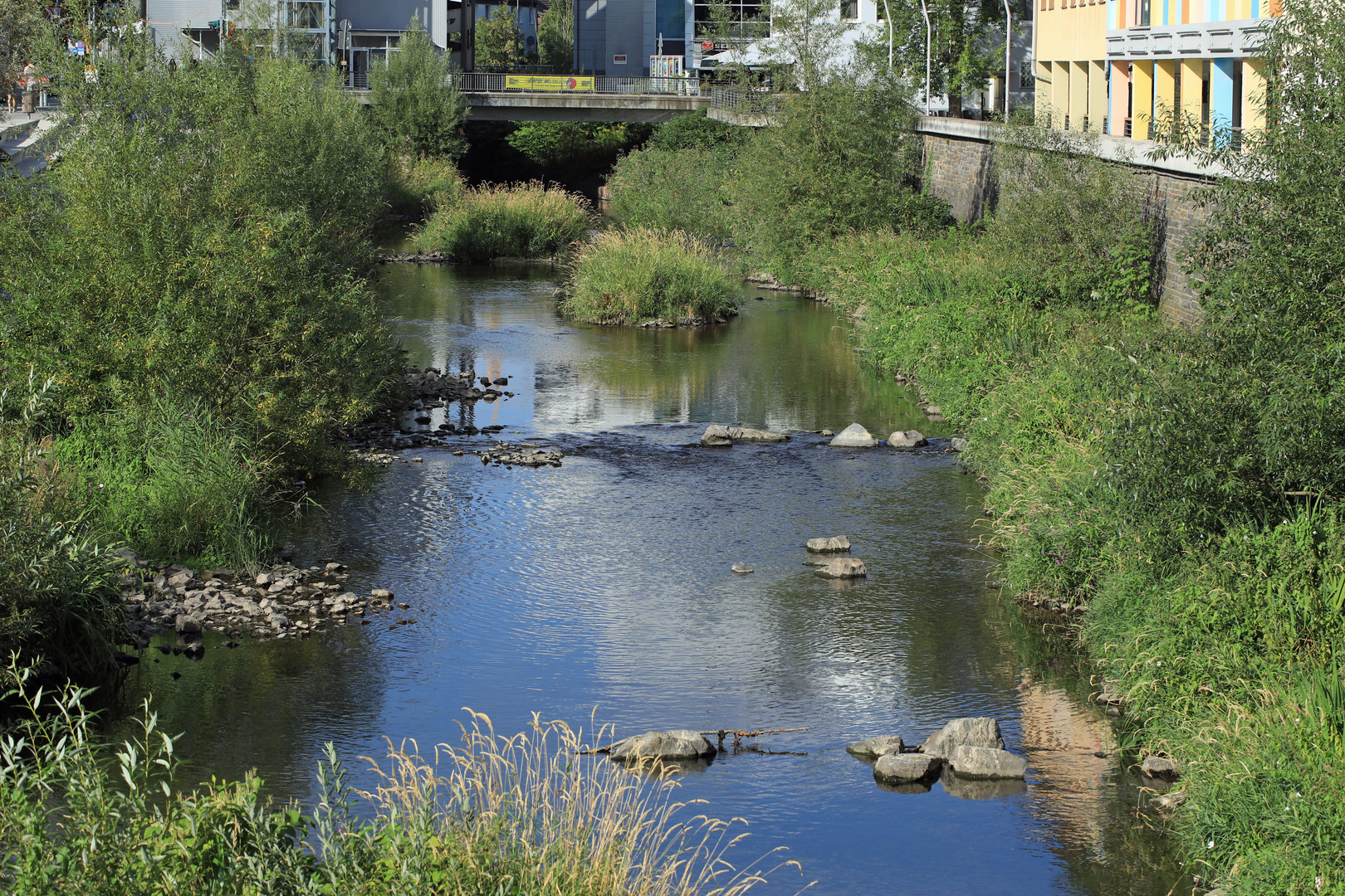 Extremes Niedrigwasser in der Sieg in Siegen