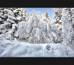 Extremglobale winterliche Hardcore Einschneiung