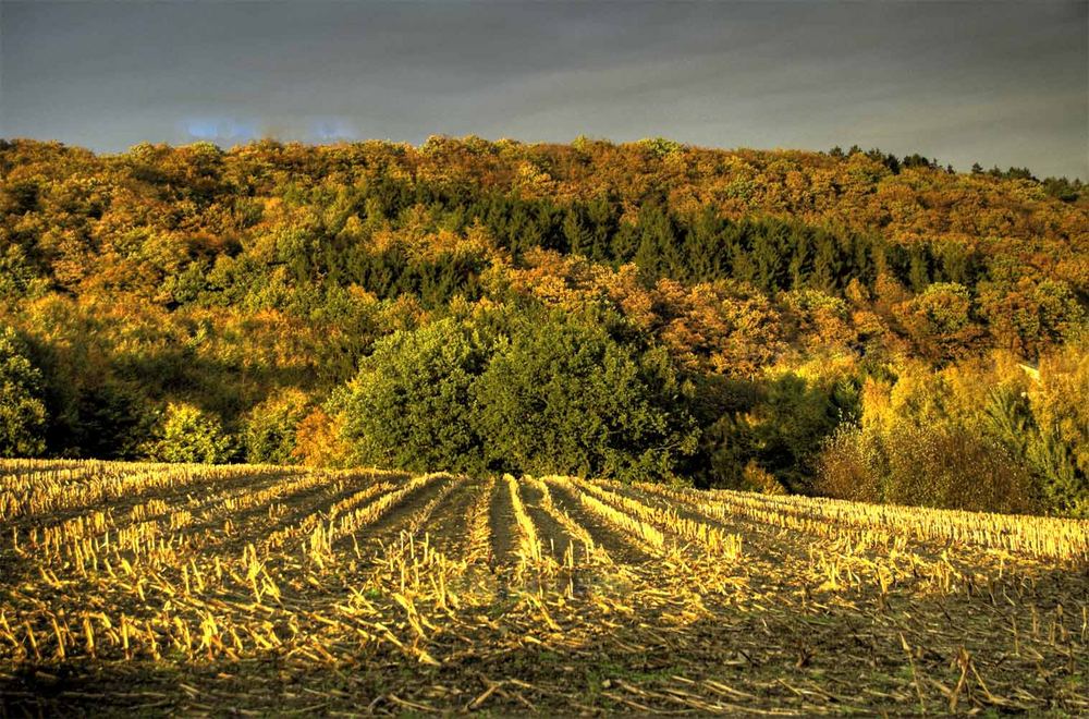 Extremherbst