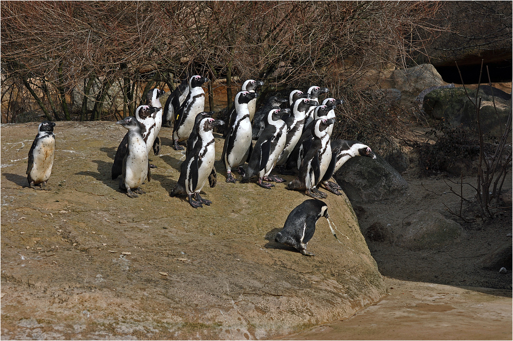 "Ey Leute, wo ist denn das Wasser geblieben?..."