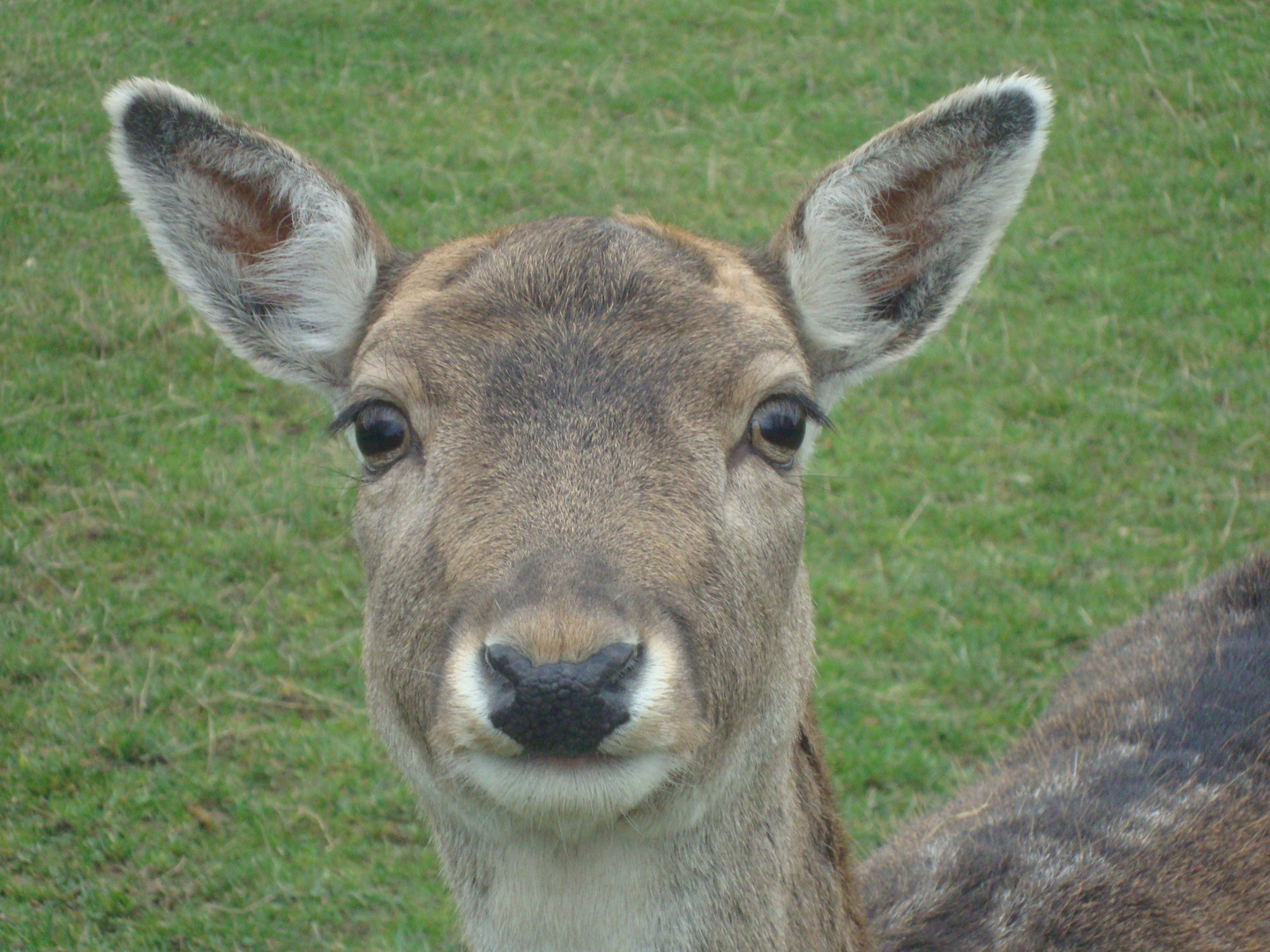 Ey... was guckst du?