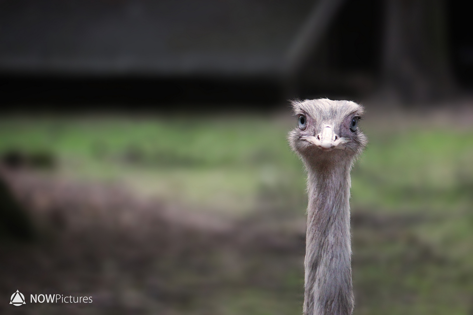 "Ey, was kuckst du?"