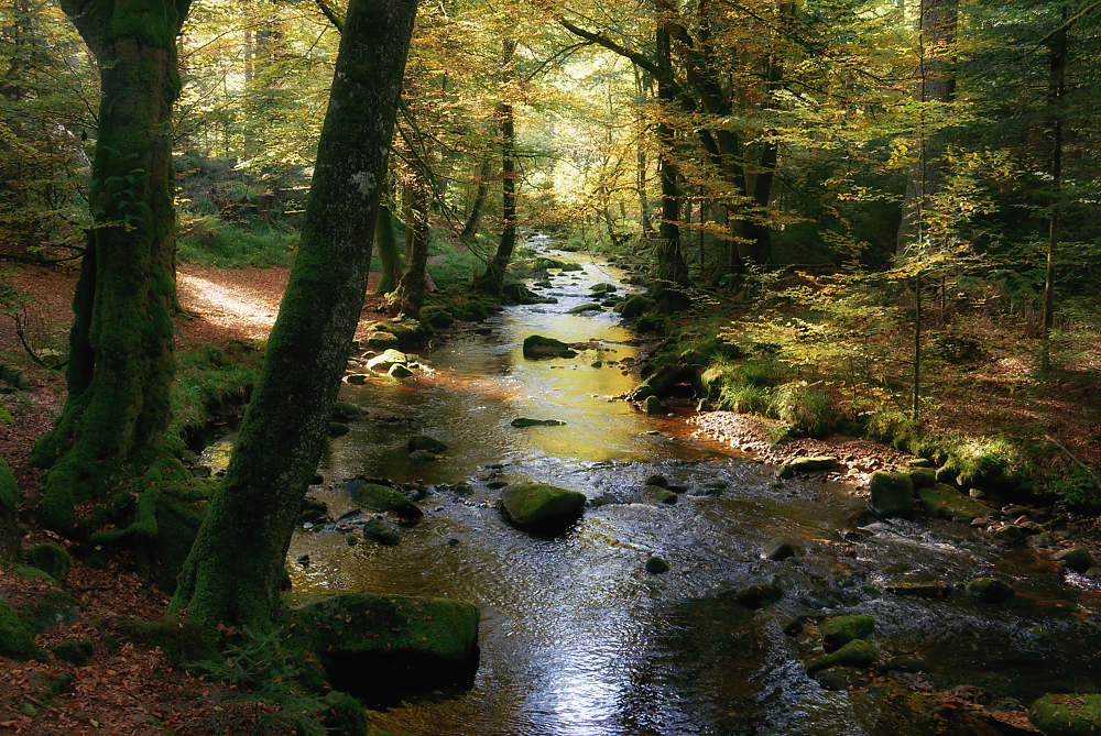 Eyachtal, Schwarzwald