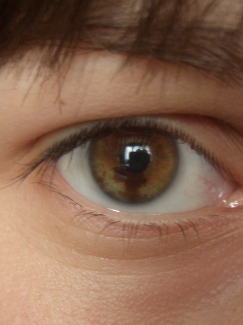 eye