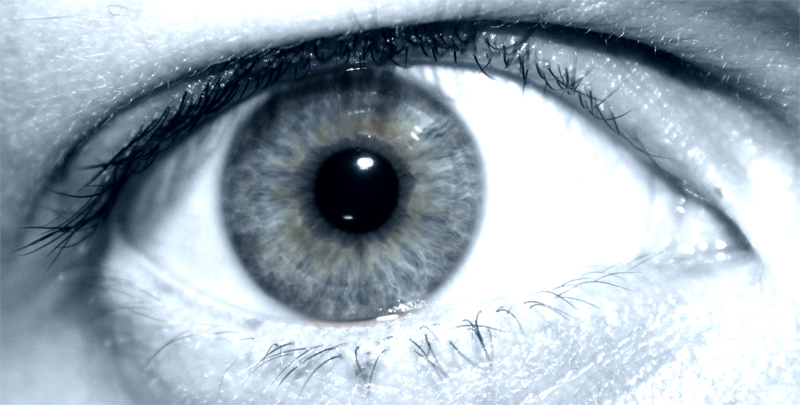 Eye