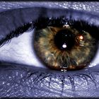 eye