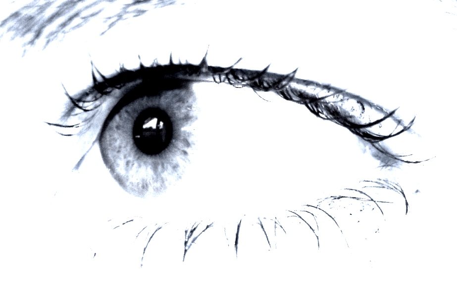 Eye