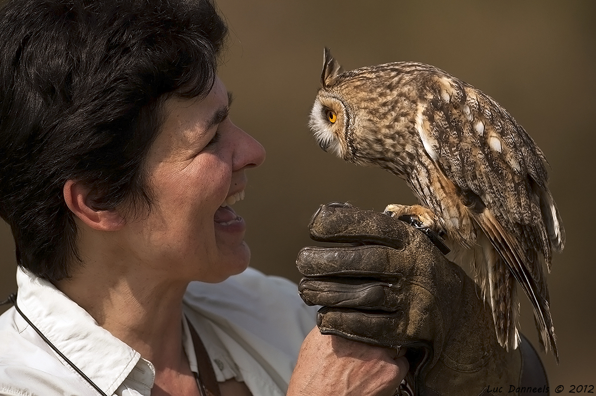 eye contact photo & image | animals, pets & farm animals, birds images at photo community eye contact photo & image | animals, pets & farm animals, birds images at photo community
