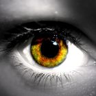 eye