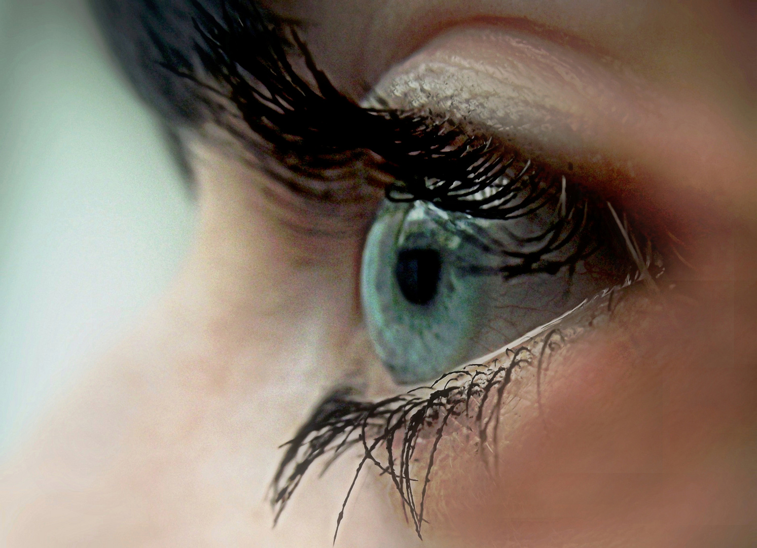 "eye" Foto & Bild | fotos von teilen des gesichts, körperdetails, augen ...