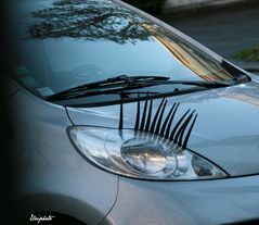 Eye lashes