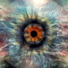 EYE OF NATURE 2