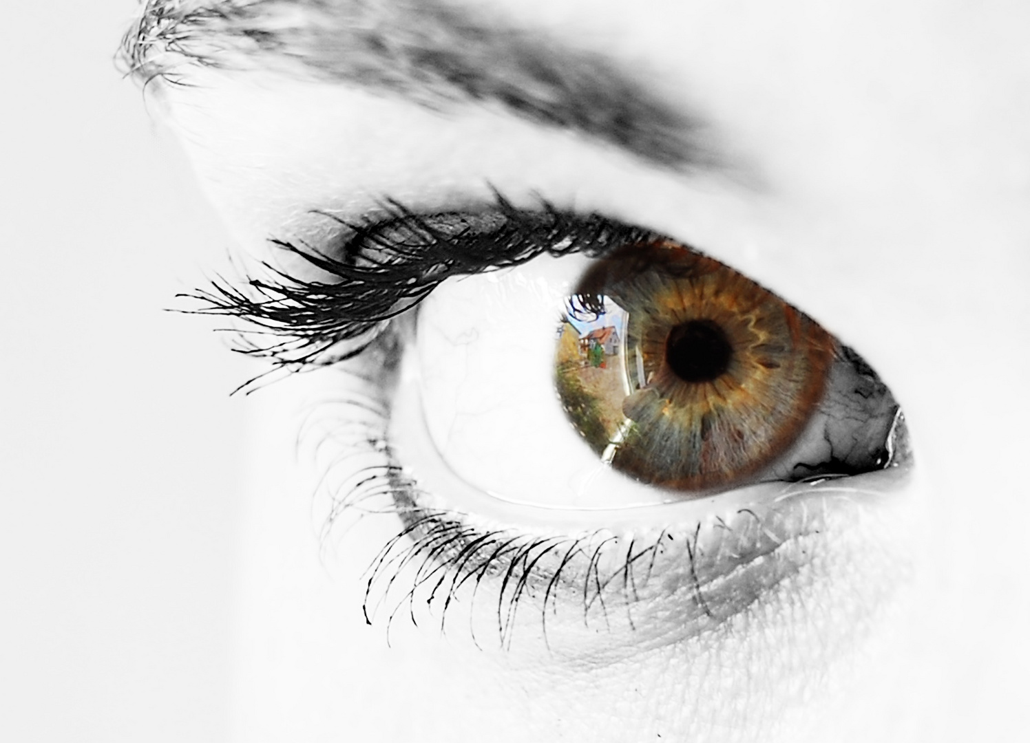 eyecatcher 1 Moni´s Auge