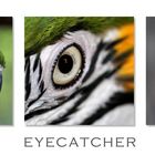 Eyecatcher