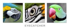 Eyecatcher