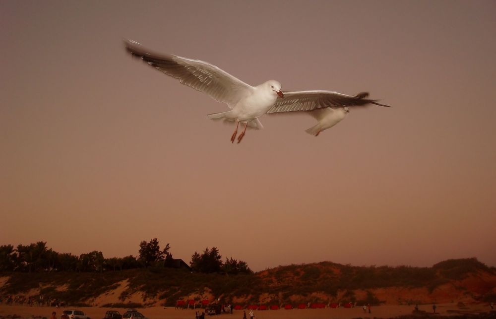 "Eyecatcher" am Cable Beach, Broome