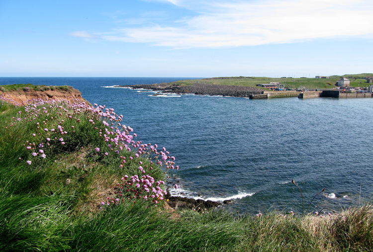 Eyemouth Hafeneinfahrt