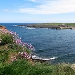 Eyemouth Hafeneinfahrt